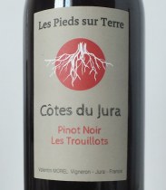 Pinot noir les Trouillots 2020