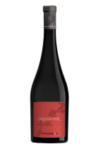 Carignan noir Ampelhus 2020