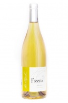 Freesia blanc 2022