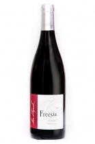 Freesia rouge 2021