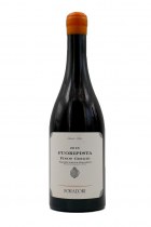 Fuoripista Pinot Grigio 2021