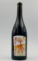 Racines rouge L2018-3