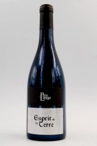 Esprit de la Terre 2020
