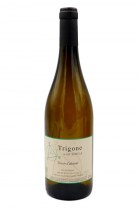 Trigone blanc n°20