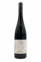 Pinot Noir de Kientzheim 2019