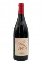 Hanami 2021