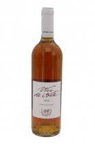 Vin de voile 2010