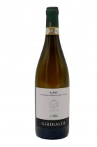 Gavi I Risi 2020