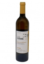 Galets de Cazebonne blanc 2019