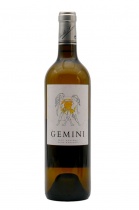 Gemini 2021