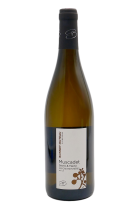 Muscadet Les Gautronnières 2021