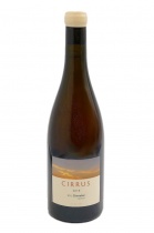 Cirrus 2018