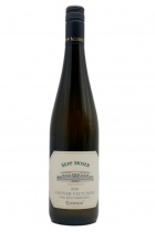 Grüner Veltliner von den Terrassen 2020