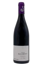 Côtes de Nuits le Village 2020