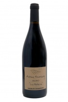 Saumur-Champigny red La Paterne 2021