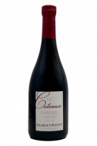 Coteaux champenois rouge 2012