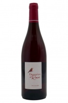 Poulsard Ronces 2021