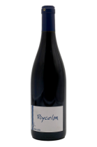 Poycelan 2020