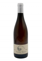 Clos de T Sanus Terra 2019