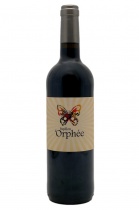 Papillon d'Orphée 2021