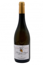 Bourgogne Aligoté 2021