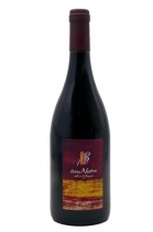 Saint-Joseph rouge "Terra Nostra" 2020