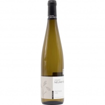 Pinot blanc Tulipe 2022